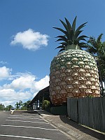 QLD - Woombye - Big Pineapple (8 Mar 2010)